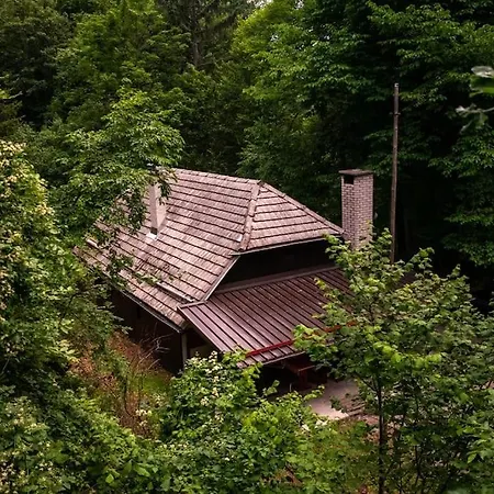 Puscava * Kranj